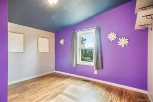 696 Calle De La Nieva, Florissant, CO 80816 - Photo 34