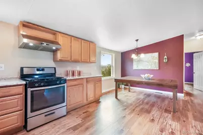 696 Calle De La Nieva, Florissant, CO 80816 - Photo 10