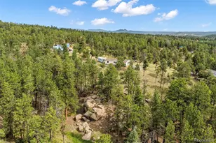 696 Calle De La Nieva, Florissant, CO 80816 - Photo 48