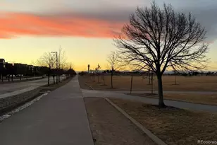 8518 E 54th Pl, Denver, CO 80238 - Photo 48