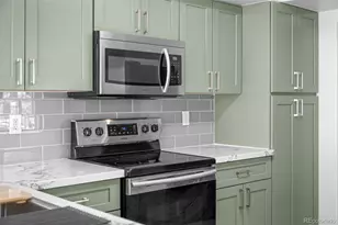 4718 Orleans St, Denver, CO 80249 - Photo 10