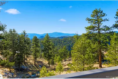 193 Long Ridge Drive, Bailey, CO 80421 - Photo 38