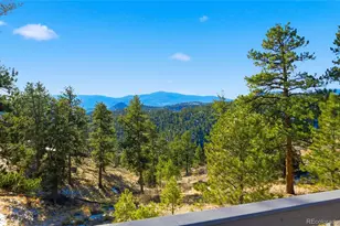 193 Long Ridge Dr, Bailey, CO 80421 - Photo 38