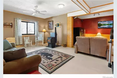 1666 High Creek Road, Fairplay, CO 80440 - Photo 34