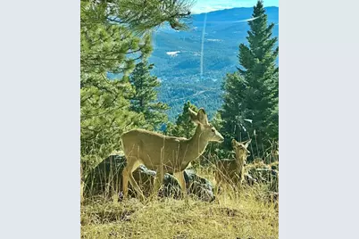 24999 Grandview Avenue, Golden, CO 80401 - Photo 38