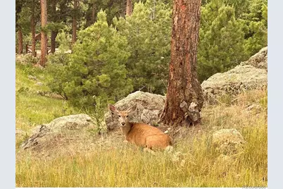 24999 Grandview Avenue, Golden, CO 80401 - Photo 34