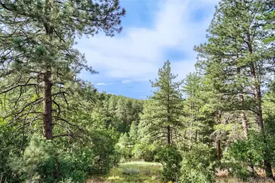 10996 Deerfield Road, Franktown, CO 80116 - Photo 42