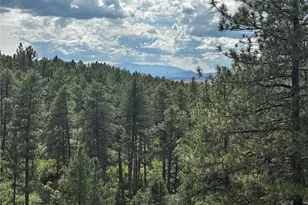 10996 Deerfield Rd, Franktown, CO 80116 - Photo 4