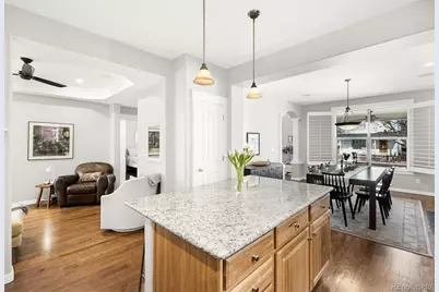 2521 Alton Street, Denver, CO 80238 - Photo 42