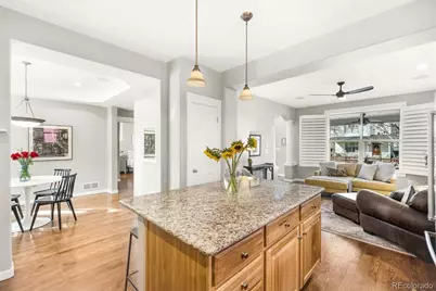 2521 Alton Street, Denver, CO 80238 - Photo 8