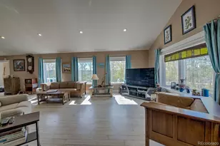 331 Canthook Ln, Fairplay, CO 80440 - Photo 8