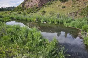 7275 CO-9, Guffey, CO 80820 - Photo 4