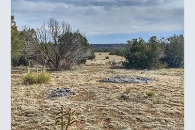 Lot 80 Turkey Ridge Ranch, Walsenburg, CO 81089 - Photo 4
