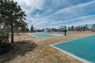 5647 Palmia Ln, Parker, CO 80134 - Photo 38