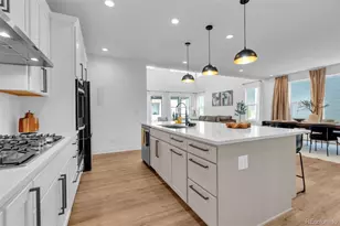 5647 Palmia Ln, Parker, CO 80134 - Photo 12