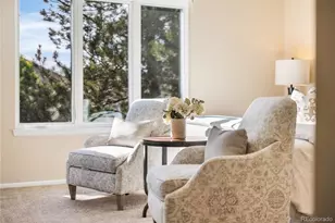 8753 Forrest Dr, Highlands Ranch, CO 80126 - Photo 28