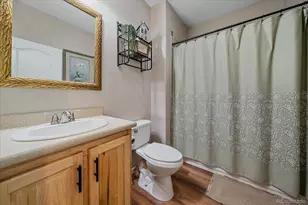 147 Overlook Dr, Bailey, CO 80421 - Photo 22