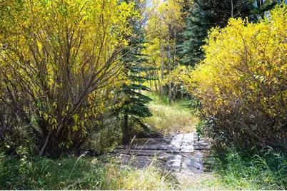 531 Caribou Road, Nederland, CO 80466 - Photo 16