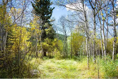 531 Caribou Road, Nederland, CO 80466 - Photo 18