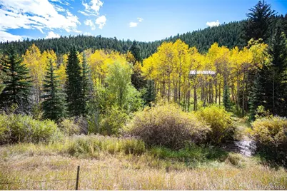 531 Caribou Road, Nederland, CO 80466 - Photo 22