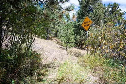 531 Caribou Road, Nederland, CO 80466 - Photo 20