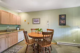 1513 E Keystone Rd, Keystone, CO 80435 - Photo 8