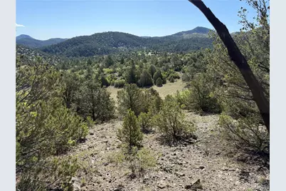 20 Molly Lane, Cotopaxi, CO 81223 - Photo 26