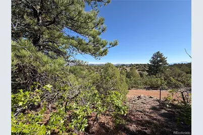 20 Molly Lane, Cotopaxi, CO 81223 - Photo 42