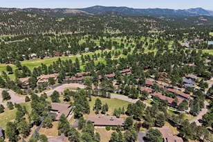 31347 Tamarisk Ln, Evergreen, CO 80439 - Photo 50