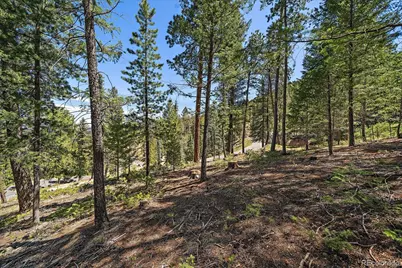 6855 Lynx Lair Road, Evergreen, CO 80439 - Photo 18
