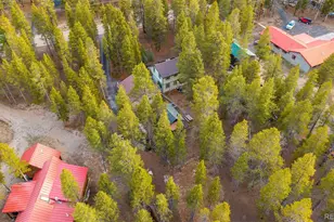 55 Rafferty Dr, Leadville, CO 80461 - Photo 40