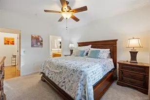 8558 Gold Peak Ln, Highlands Ranch, CO 80130 - Photo 16