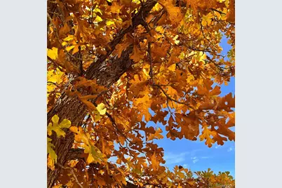 6910 Reno Drive, Arvada, CO 80002 - Photo 20