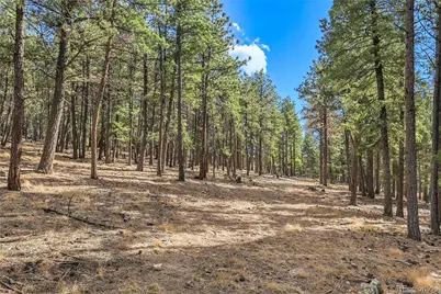 27551 Molly Drive, Conifer, CO 80433 - Photo 18