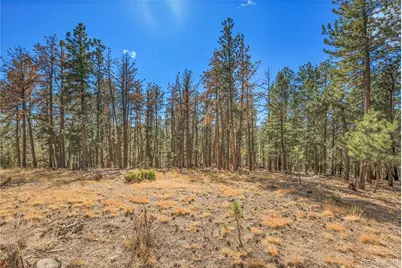 27551 Molly Drive, Conifer, CO 80433 - Photo 28