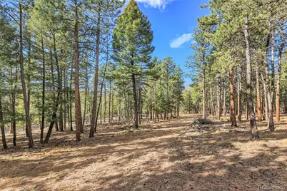 27551 Molly Drive, Conifer, CO 80433 - Photo 20
