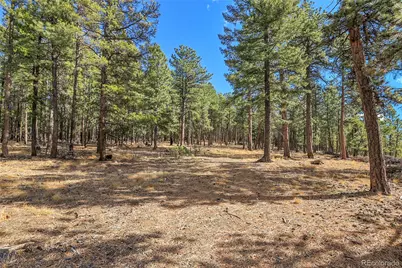 27551 Molly Drive, Conifer, CO 80433 - Photo 12