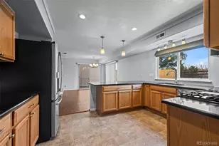 3974 Malta St, Denver, CO 80249 - Photo 10