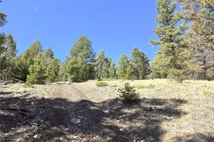 1007 Hereford Dr, Hartsel, CO 80449 - Photo 24