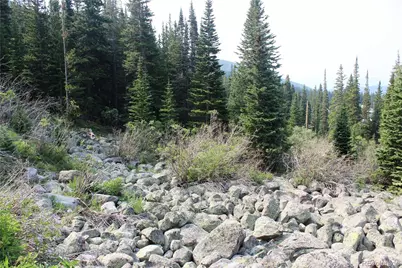 01 Miners Road, Idaho Springs, CO 80461 - Photo 12