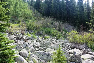 01 Miners Road, Idaho Springs, CO 80461 - Photo 6