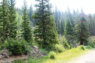01 Miners Rd, Idaho Springs, CO 80461 - Photo 1