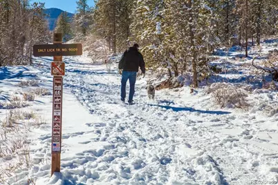 4200 Lodge Pole Circle #G4, Silverthorne, CO 80498 - Photo 44