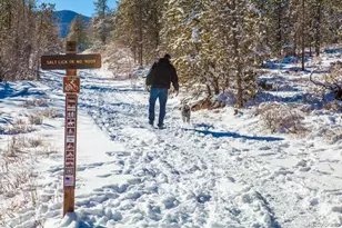 4200 Lodgepole Cir, Silverthorne, CO 80498 - Photo 44
