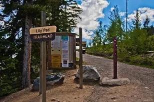 4200 Lodgepole Cir, Silverthorne, CO 80498 - Photo 40