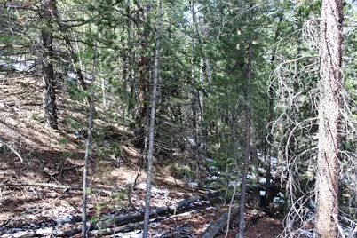 00 Missouri Flats Road, Central City, CO 80427 - Photo 14