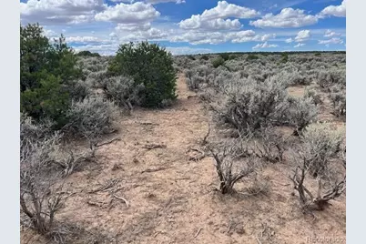 Wild Horse Dr, Lot 43, San Luis, CO 81152 - Photo 12
