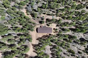 858 Fossil Creek Rd, Florissant, CO 80816 - Photo 48