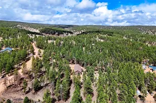 858 Fossil Creek Rd, Florissant, CO 80816 - Photo 50