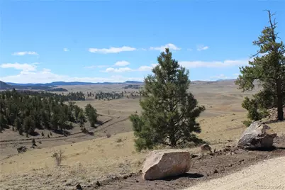 Lot 26 Wolfe Road, Hartsel, CO 80449 - Photo 16